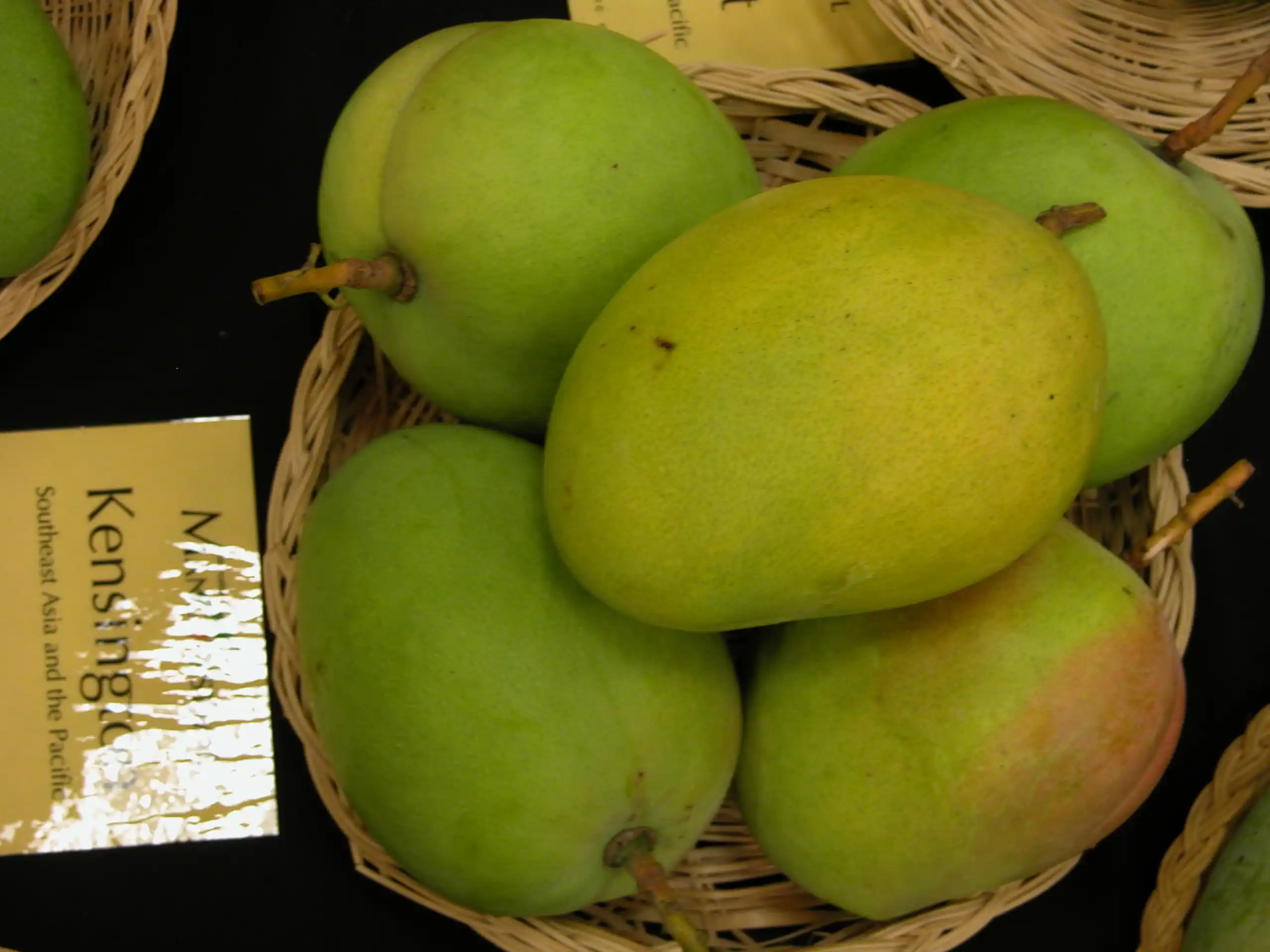 Kensington Pride Mango (કેન્સિંગ્ટન પ્રાઇડ કેરી)